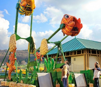 Fliegender_Fisch_kl