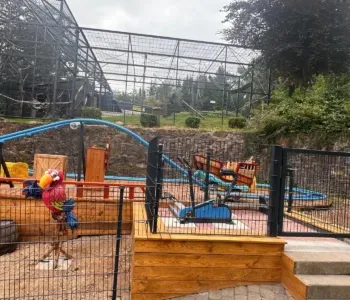 Kinderachterbahn-KidzBlitz-2-400x300