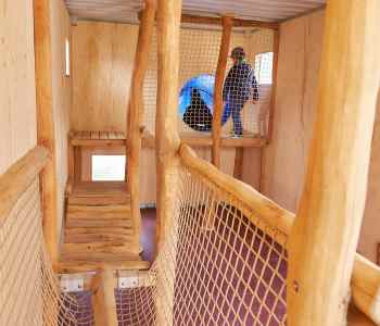 Inno-Heege | Spielcontainer – Die mobile Spieloase
